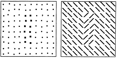 patterns that were generated at the cyclopean eye