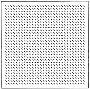 a locally increased orientation gradient lets the border appear