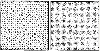 orientation differences can still be seen even when they do not segregate