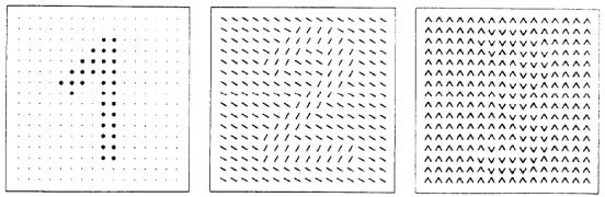perceptually segregating and not segregating textures