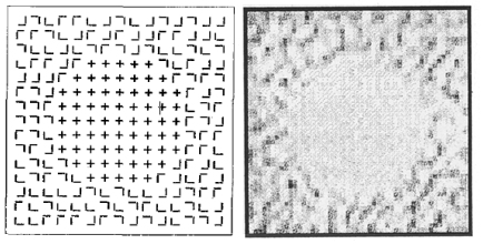 cells may respond differently to regions with and without crosses