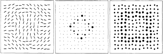 paradoxon: Orientation encodes another pattern than orientation contrast