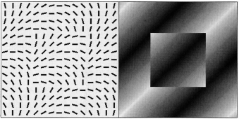 common properties of luminance and orientation contrast