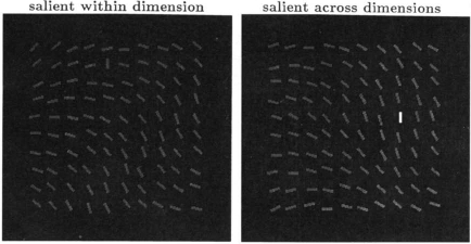 salience across dimensions
