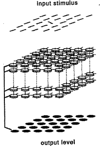 encoding of feature contrast - model