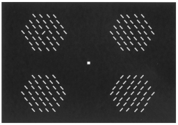 test pattern for yueing experiment