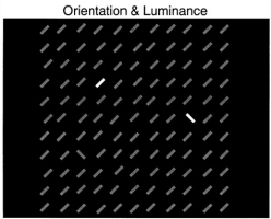 additivity of slience effects