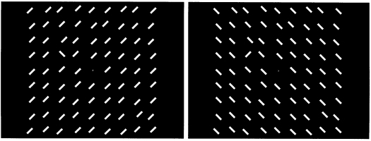 different temporal resolutions of popout