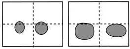 bilateral receptive fields