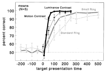 various salience markers attract attention