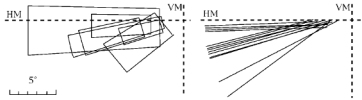 radial receptive fields