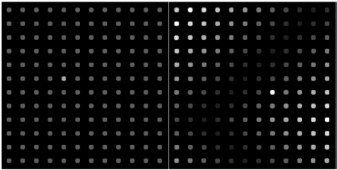 salience from luminance contrast