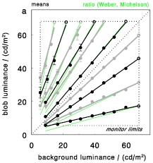 equal salience follows (mainly) the Weber contrast